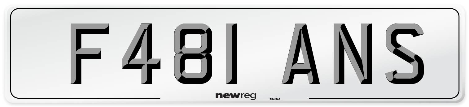 F481 ANS Number Plate from New Reg